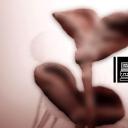 图文-中国风PPT.图文模板中国风99