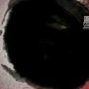 图文-中国风PPT.图文-模板71