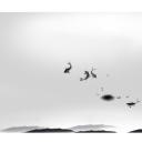 详情描述用 中国风更新版模板.067 中国风背景图片模板