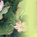 详情描述用 中国风更新版模板.079 荷叶荷花荷塘系列中国风PPT模板