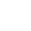 详情描述用 中国风更新版模板.097 水墨国风（动画）