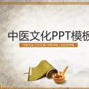 中药医学PPT（二选一）.B197-中药医学PPT.PPT文件及预览图.105