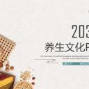 中药医学PPT（二选一）.B197-中药医学PPT.PPT文件及预览图.112