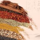 中药医学PPT（二选一）.B197-中药医学PPT.PPT文件及预览图.113