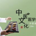 中药医学PPT（二选一）.B197-中药医学PPT.PPT文件及预览图.114