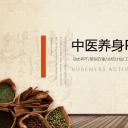 中药医学PPT（二选一）.B197-中药医学PPT.PPT文件及预览图.117