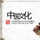 中药医学PPT（二选一）.B197-中药医学PPT.PPT文件及预览图.119