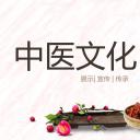 中药医学PPT（二选一）.B197-中药医学PPT.PPT文件及预览图.127