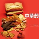 中药医学PPT（二选一）.B197-中药医学PPT.PPT文件及预览图.131