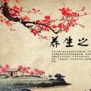 中药医学PPT（二选一）.B197-中药医学PPT.PPT文件及预览图.14