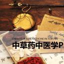 中药医学PPT（二选一）.B197-中药医学PPT.PPT文件及预览图.15