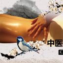 中药医学PPT（二选一）.B197-中药医学PPT.PPT文件及预览图.26