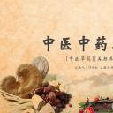 中药医学PPT（二选一）.B197-中药医学PPT.PPT文件及预览图.30