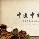 中药医学PPT（二选一）.B197-中药医学PPT.PPT文件及预览图.33