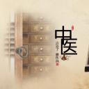 中药医学PPT（二选一）.B197-中药医学PPT.PPT文件及预览图.34