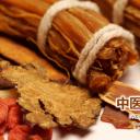 中药医学PPT（二选一）.B197-中药医学PPT.PPT文件及预览图.35