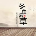 中药医学PPT（二选一）.B197-中药医学PPT.PPT文件及预览图.36