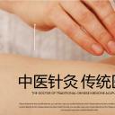 中药医学PPT（二选一）.B197-中药医学PPT.PPT文件及预览图.39