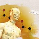 中药医学PPT（二选一）.B197-中药医学PPT.PPT文件及预览图.40