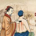 中药医学PPT（二选一）.B197-中药医学PPT.PPT文件及预览图.42