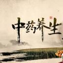 中药医学PPT（二选一）.B197-中药医学PPT.PPT文件及预览图.44