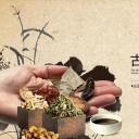 中药医学PPT（二选一）.B197-中药医学PPT.PPT文件及预览图.46