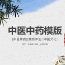 中药医学PPT（二选一）.B197-中药医学PPT.PPT文件及预览图.53