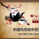 中药医学PPT（二选一）.B197-中药医学PPT.PPT文件及预览图.57