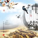 中药医学PPT（二选一）.B197-中药医学PPT.PPT文件及预览图.58