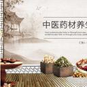 中药医学PPT（二选一）.B197-中药医学PPT.PPT文件及预览图.65