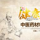 中药医学PPT（二选一）.B197-中药医学PPT.PPT文件及预览图.71