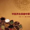 中药医学PPT（二选一）.B197-中药医学PPT.PPT文件及预览图.74