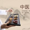 中药医学PPT（二选一）.B197-中药医学PPT.PPT文件及预览图.8