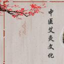 中药医学PPT（二选一）.B197-中药医学PPT.PPT文件及预览图.80