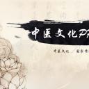 中药医学PPT（二选一）.B197-中药医学PPT.PPT文件及预览图.81