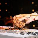 中药医学PPT（二选一）.B197-中药医学PPT.PPT文件及预览图.82