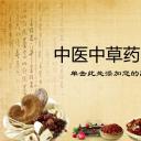 中药医学PPT（二选一）.B197-中药医学PPT.PPT文件及预览图.83