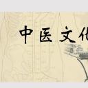 中药医学PPT（二选一）.B197-中药医学PPT.PPT文件及预览图.87