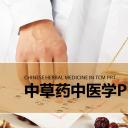 中药医学PPT（二选一）.B197-中药医学PPT.PPT文件及预览图.89