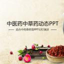 中药医学PPT（二选一）.B197-中药医学PPT.PPT文件及预览图.92