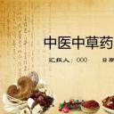 中药医学PPT（二选一）.B197-中药医学PPT.PPT文件及预览图.94