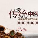 中药医学PPT（二选一）.B197-中药医学PPT.PPT文件及预览图.95