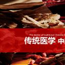 中药医学PPT（二选一）.B197-中药医学PPT.页面描述文件.1