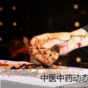 中药医学PPT（二选一）.B197-中药医学PPT.页面描述文件.7