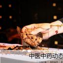 未压缩版-无需重复下载.01医学PPT精选.精选医学PPT 21