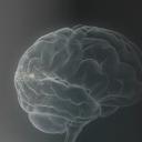 未压缩版-无需重复下载.02医学PPT.医疗护理 129