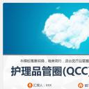 扁平化.B136——品管圈PPT模板—图文.品管圈PPT模板（解压版）.品管圈PPT模板—19