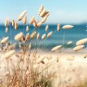 同学会.02-动态同学聚会模板.同学聚会-.PPT模板.青春同学聚会模板 16