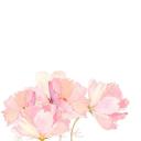 卡通儿童.静态.12