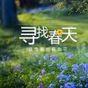 旅游相册.103109唯美旅游度假摄影电子相册PPT模板